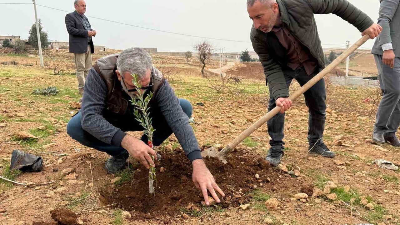 Zeytinli Mahallesi, Sıfır Atık Köyü Projesi ile Kırsal Yeşil Dönüşümü Hedefliyor