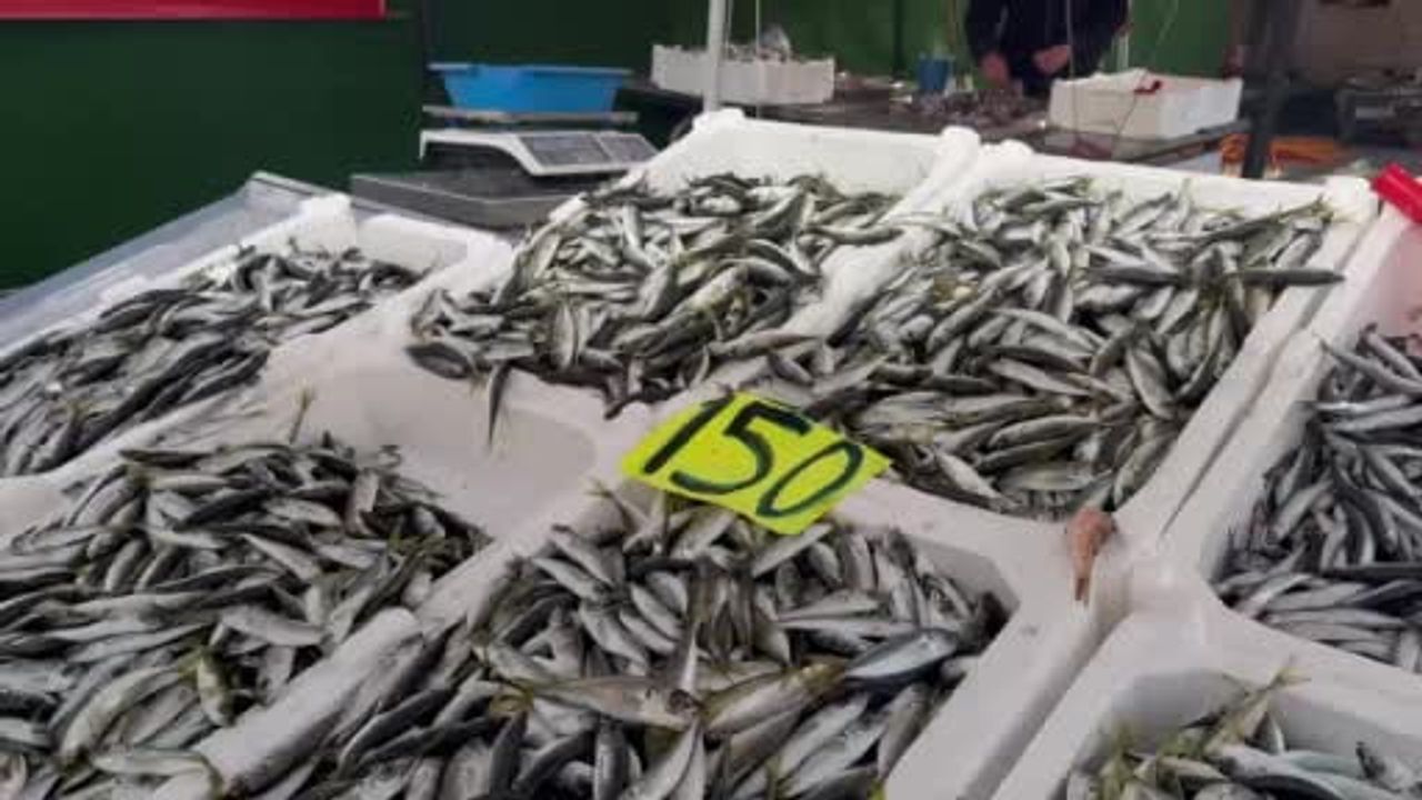 Zonguldak'ta balık tezgahlarında değişim: Hamsinin azalması istavriti öne çıkardı