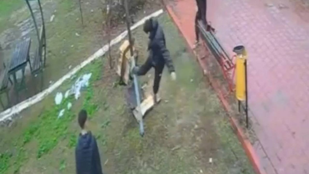 Adana'da Dinazor Park'ta 4 çocuğun kuş yuvasını yıkması güvenlik kameralarına yansıdı