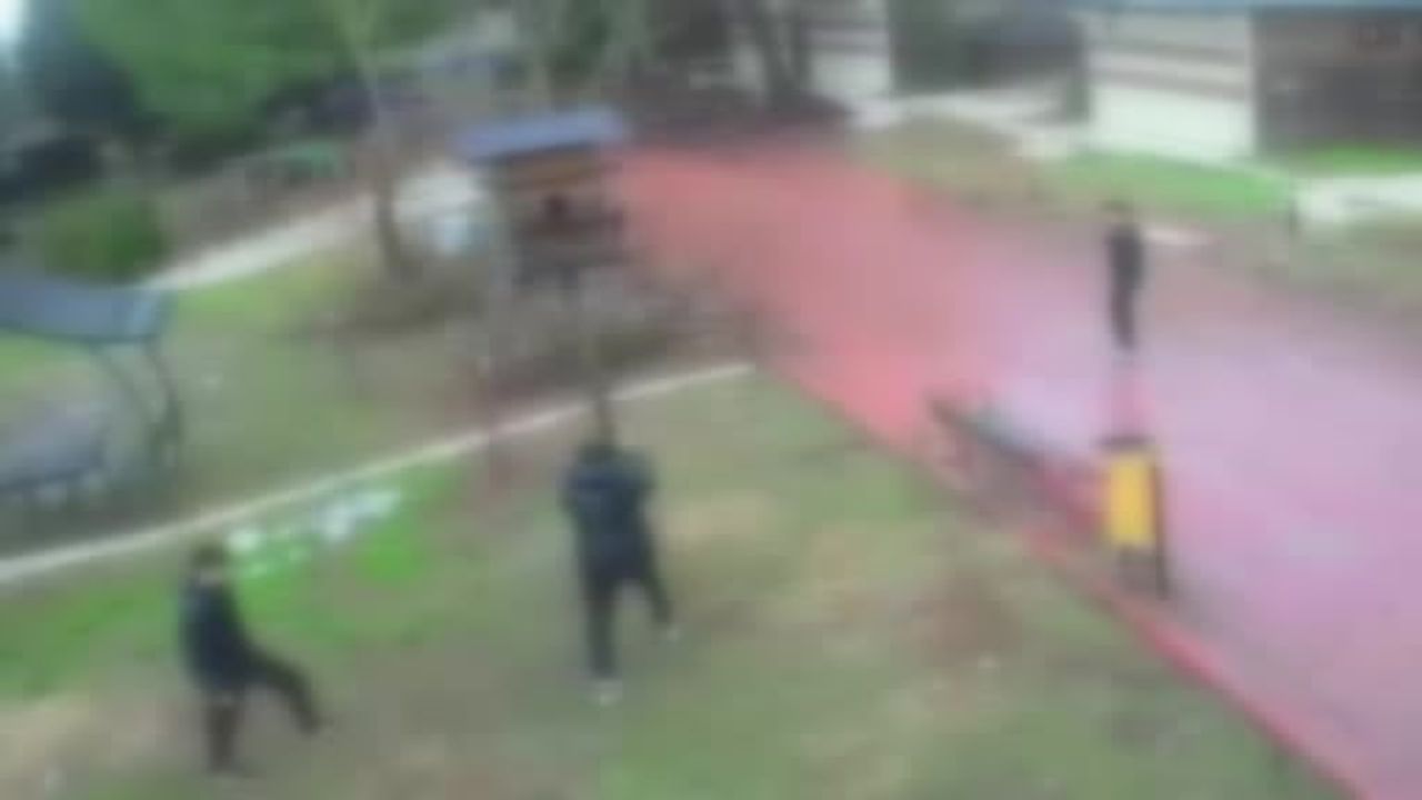 Adana Dinazor Park'ta 4 genç kuş yuvasına zarar verdi; polis incelemesi sürüyor