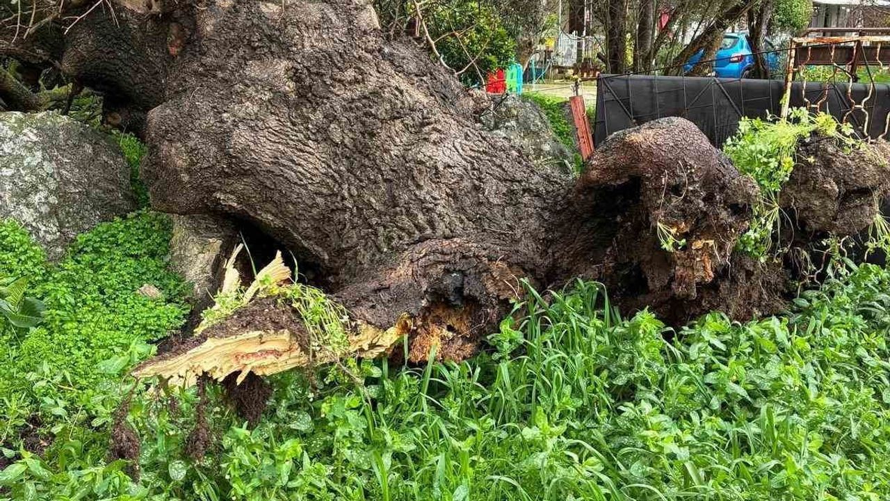 Çeşme'de sağanak yağış ve fırtına hayatı olumsuz etkiledi