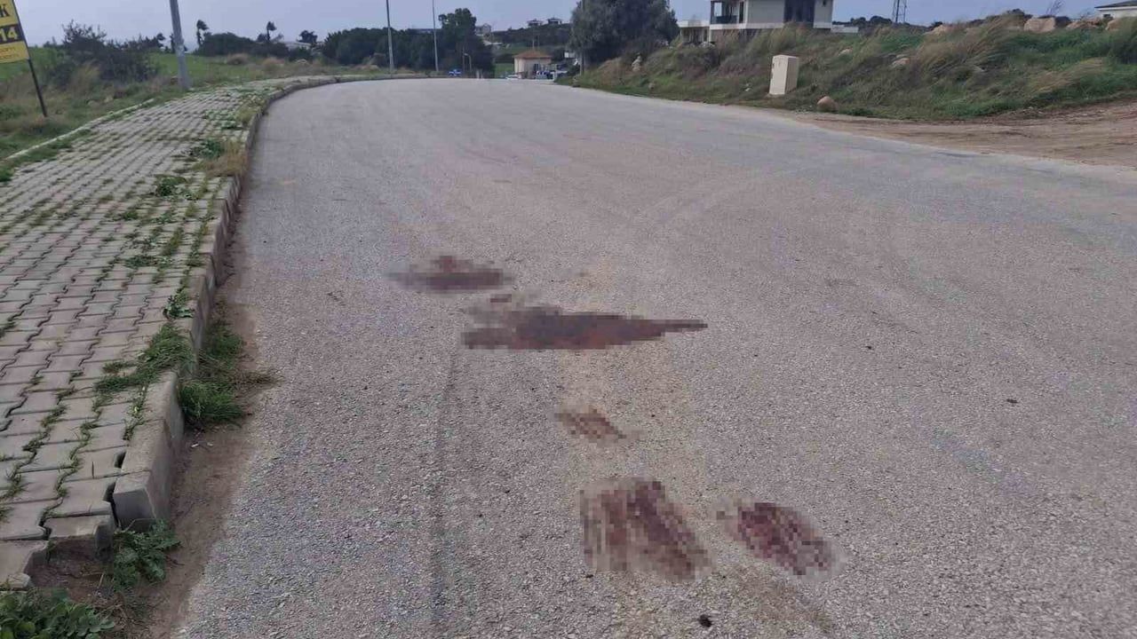 Didim'de silahlı saldırı: 2 kişi hayatını kaybetti, iki şüpheli gözaltında