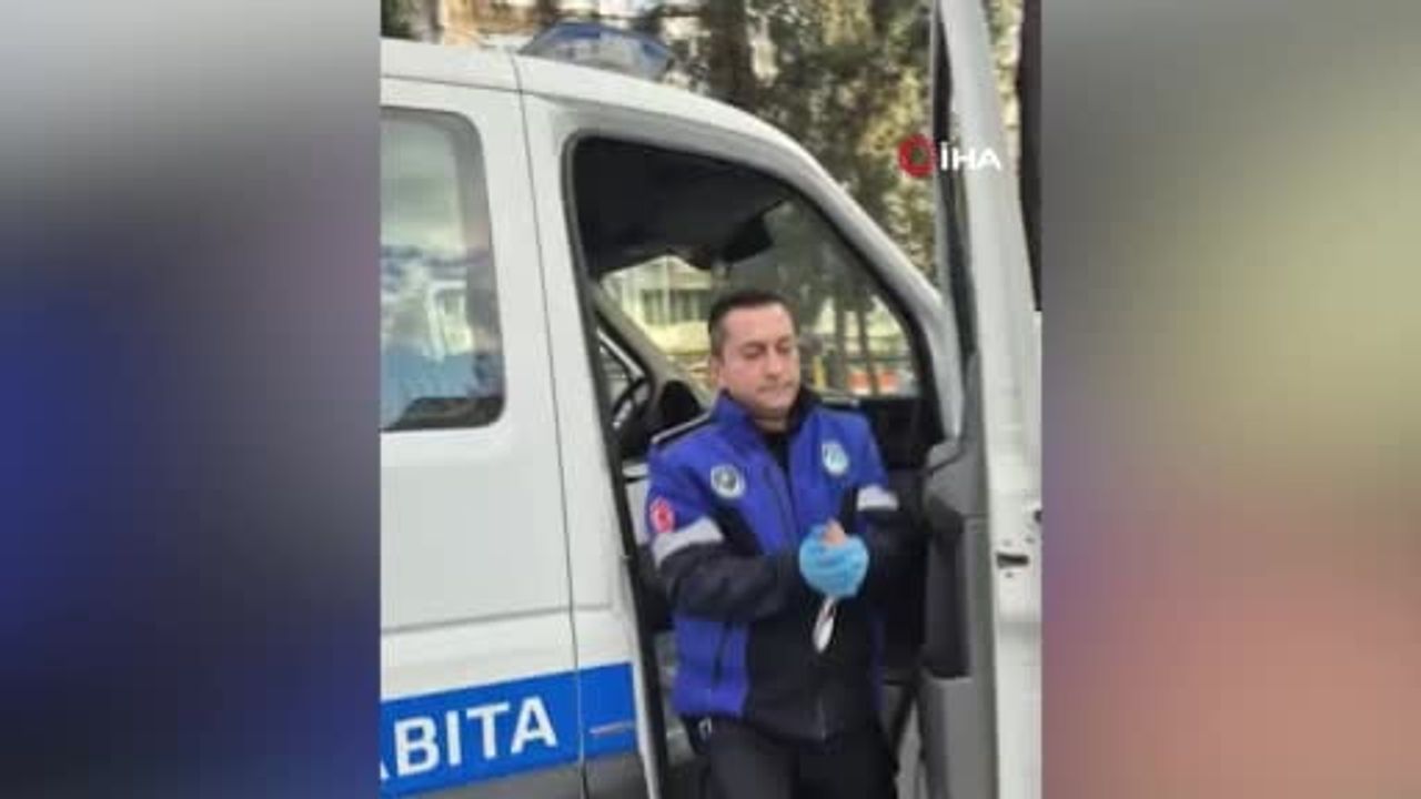 İzmir Büyükşehir ekipleri sağanakta hayvanları kurtardı: Torbalı'da ahır tahliyesi ve yaralı güvercin tedavisi