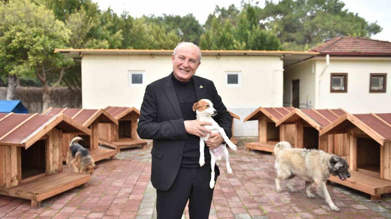 Kepez Belediyesi'ne hayırseverlerden 8 köpek ve 50 kedi kulübesi bağışı