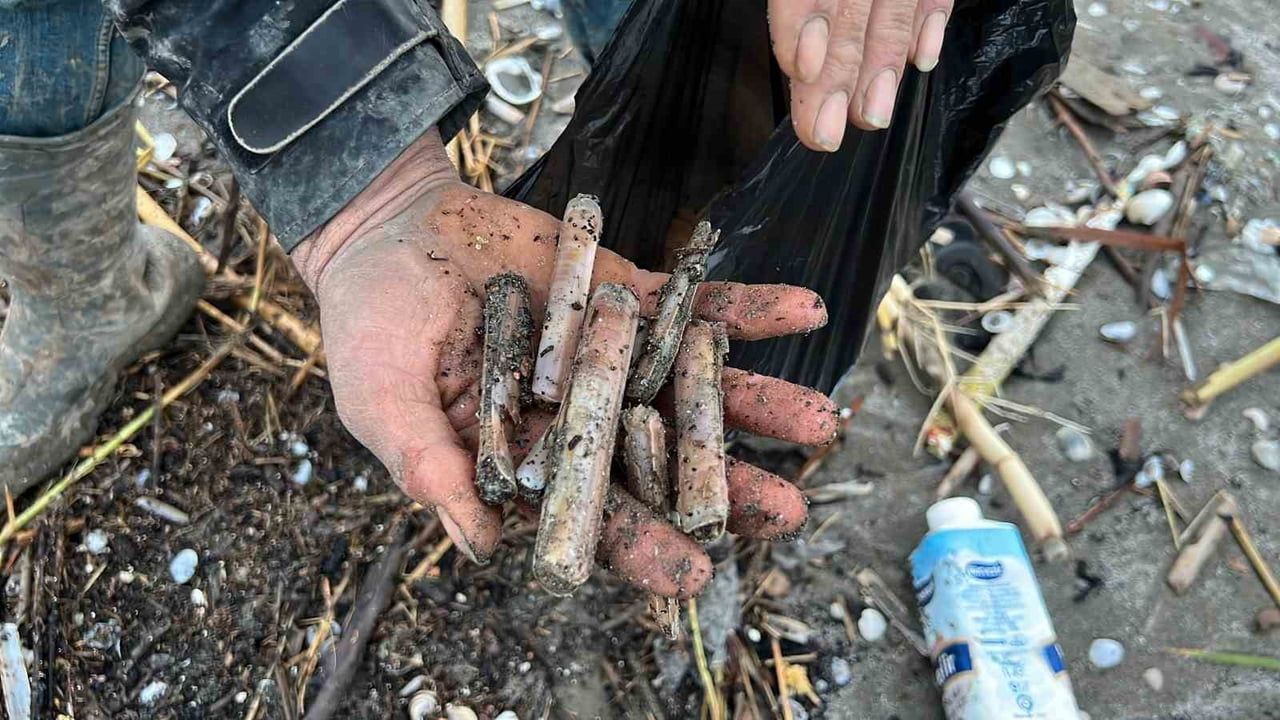 Mersin Adanalıoğlu sahiline fırtına sonrası binlerce kargı midyesi vurdu