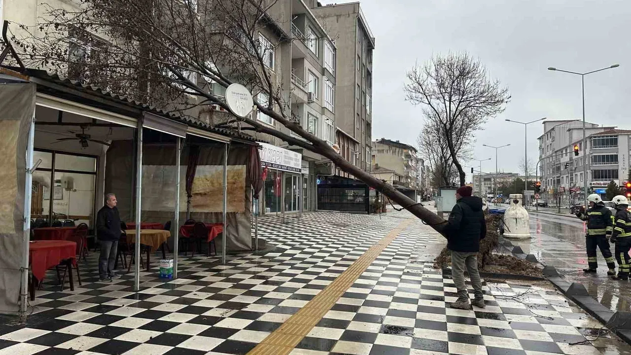Muratlı'da Ağaç Kahvehanenin Çatısına Devrildi