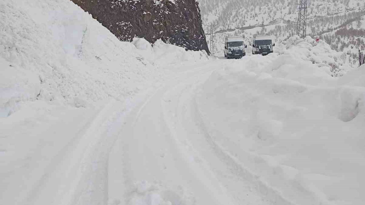 Şirvan'da kar yağışı: Elmadalı Köyü'nde yolda kalan araçlar İl Özel İdare ekiplerince kurtarıldı