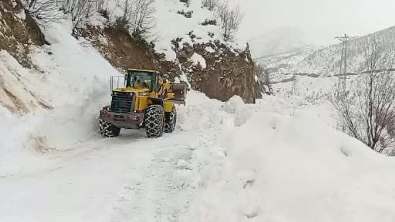 Şirvan'da kar yağışı: Elmadalı köyünde yolda kalan araçlar kurtarıldı