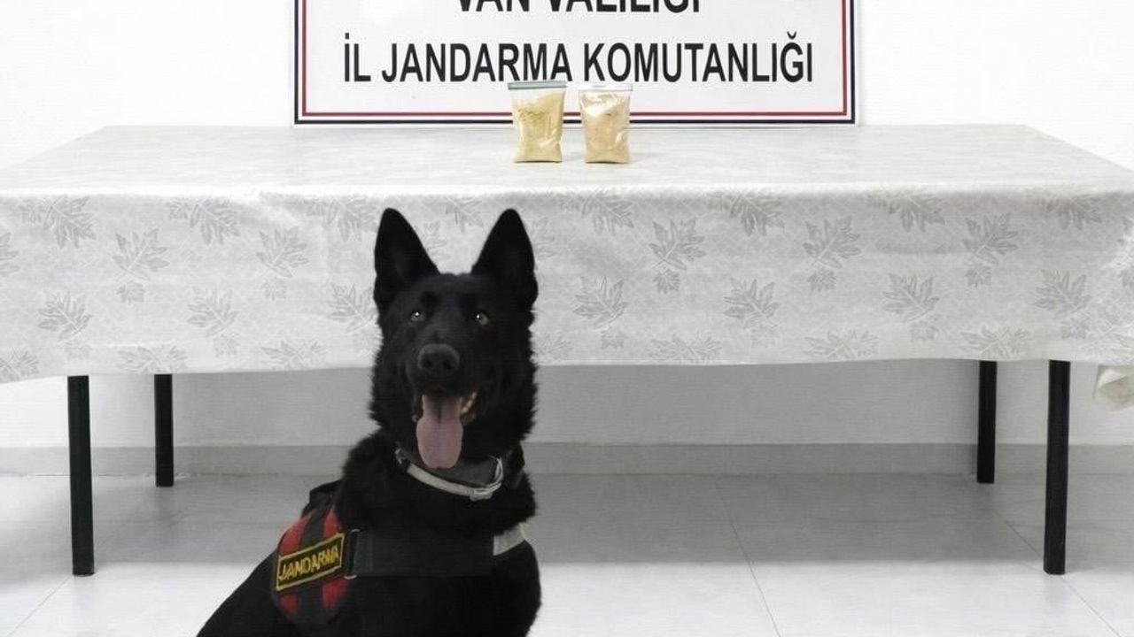 Van Başkale'de İran Uyruklu Şahsın Üzerinde 510 Gram Eroin Ele Geçirildi