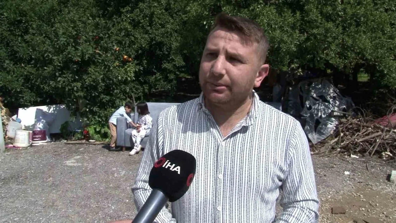 Adana'da köpek sürüsü ev kedisini parçalayarak öldürdü; sahibi çocuğunu okuldan aldı