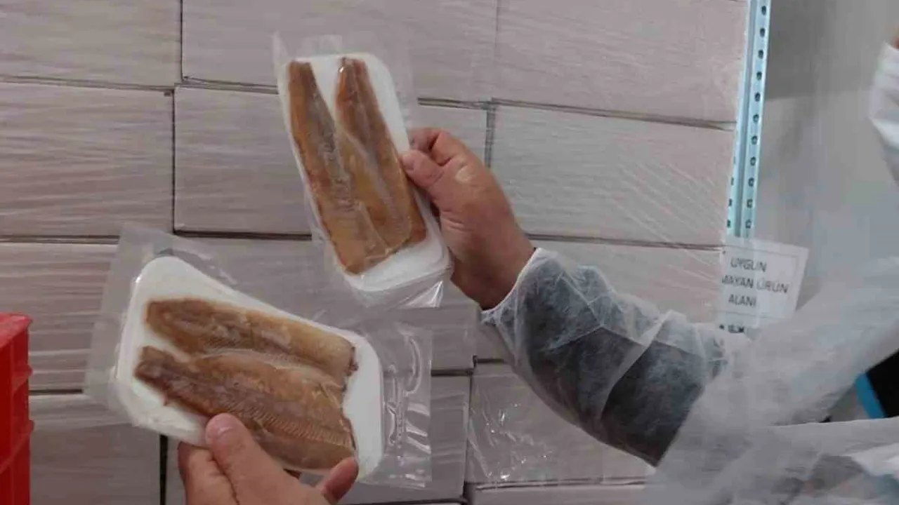 Afyonkarahisar'da su ürünleri tesislerine denetim: Kalite ve ihracat uyumu izlendi