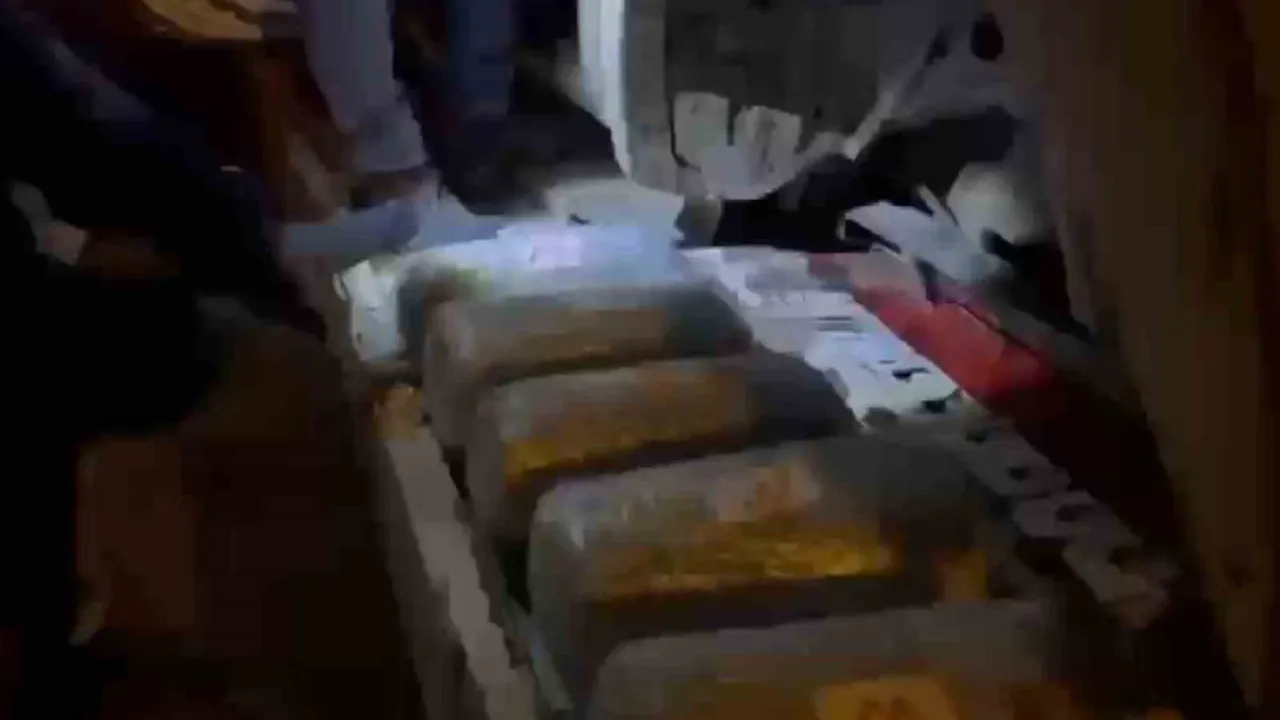 Ağrı'da jandarma operasyonunda 10 kilogram skunk ele geçirildi, 1 kişi tutuklandı