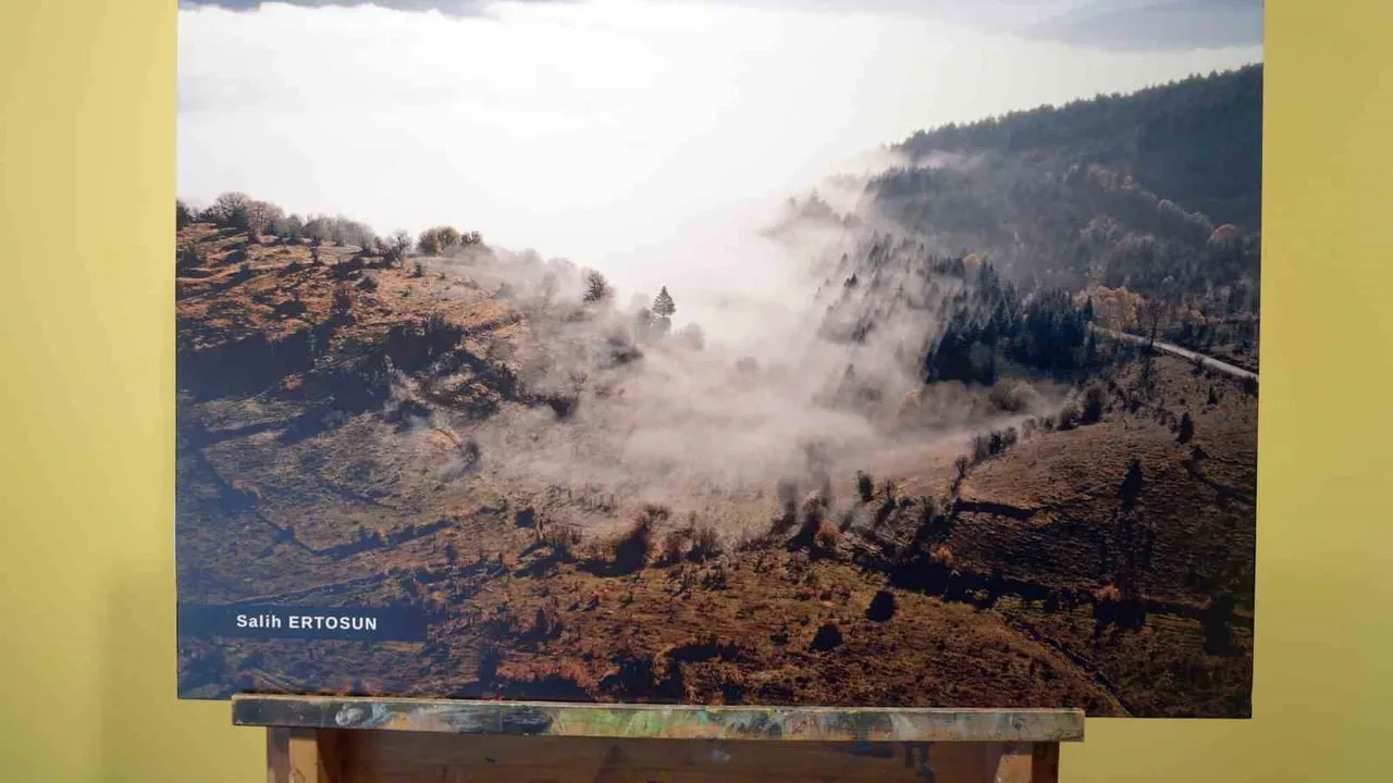 “Ahşabın Cazibesi” belgeselinin ilk gösterimi Kastamonu’da yapıldı