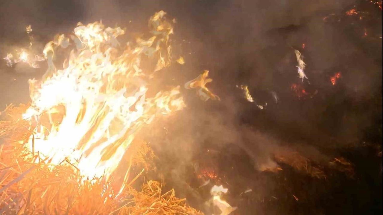 Aksaray’da mandıra yangını: Yaklaşık 70 ton saman kül oldu