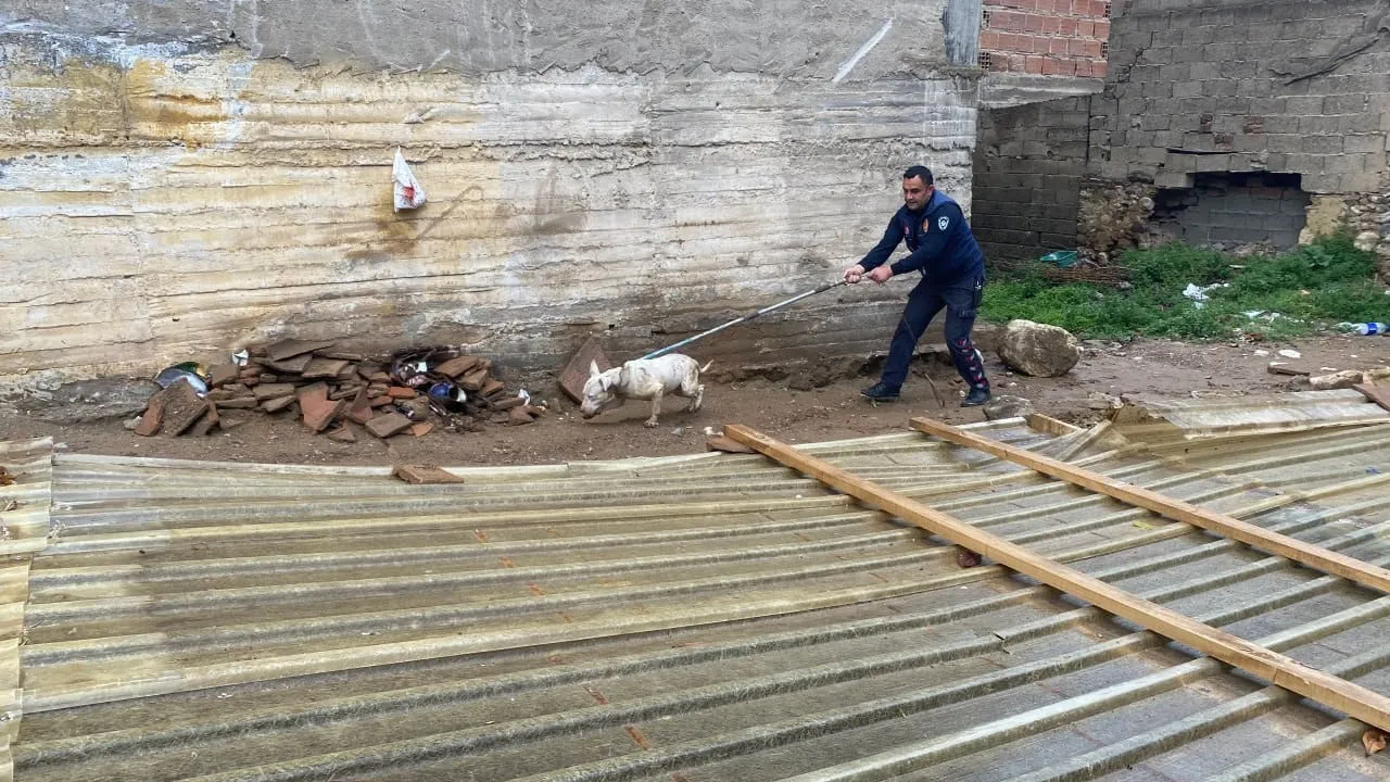 Alaşehir’de plastiğe kaplı inşaat çukuruna düşen köpek itfaiye tarafından kurtarıldı