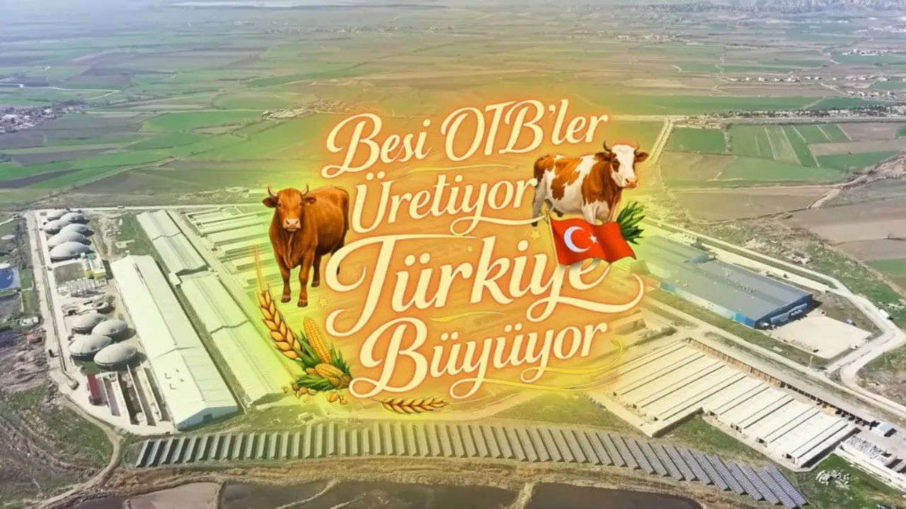 Amasya Suluova Besi OTB: 15 bin 650 büyükbaş kapasite ve bin 1.500 kişiye istihdam