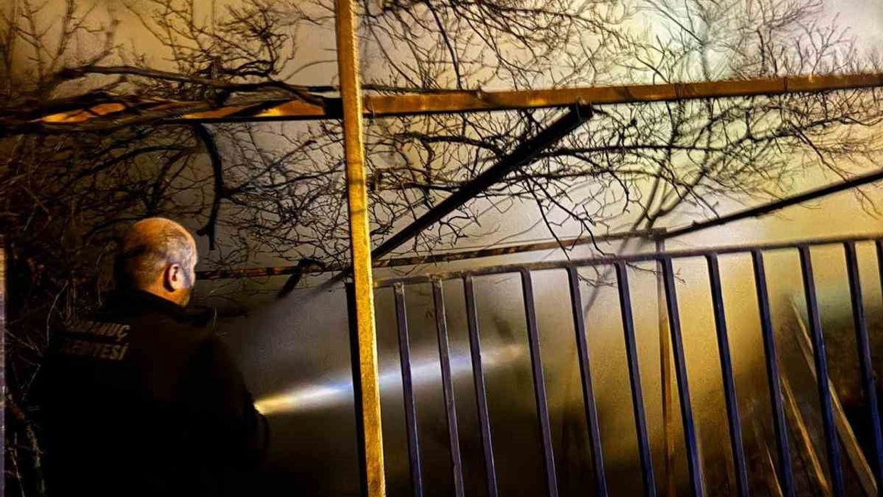 Artvin'de gece yangını: Ardanuç Karlı Köyü'nde 1 ev ve odunluk kullanılamaz hale geldi