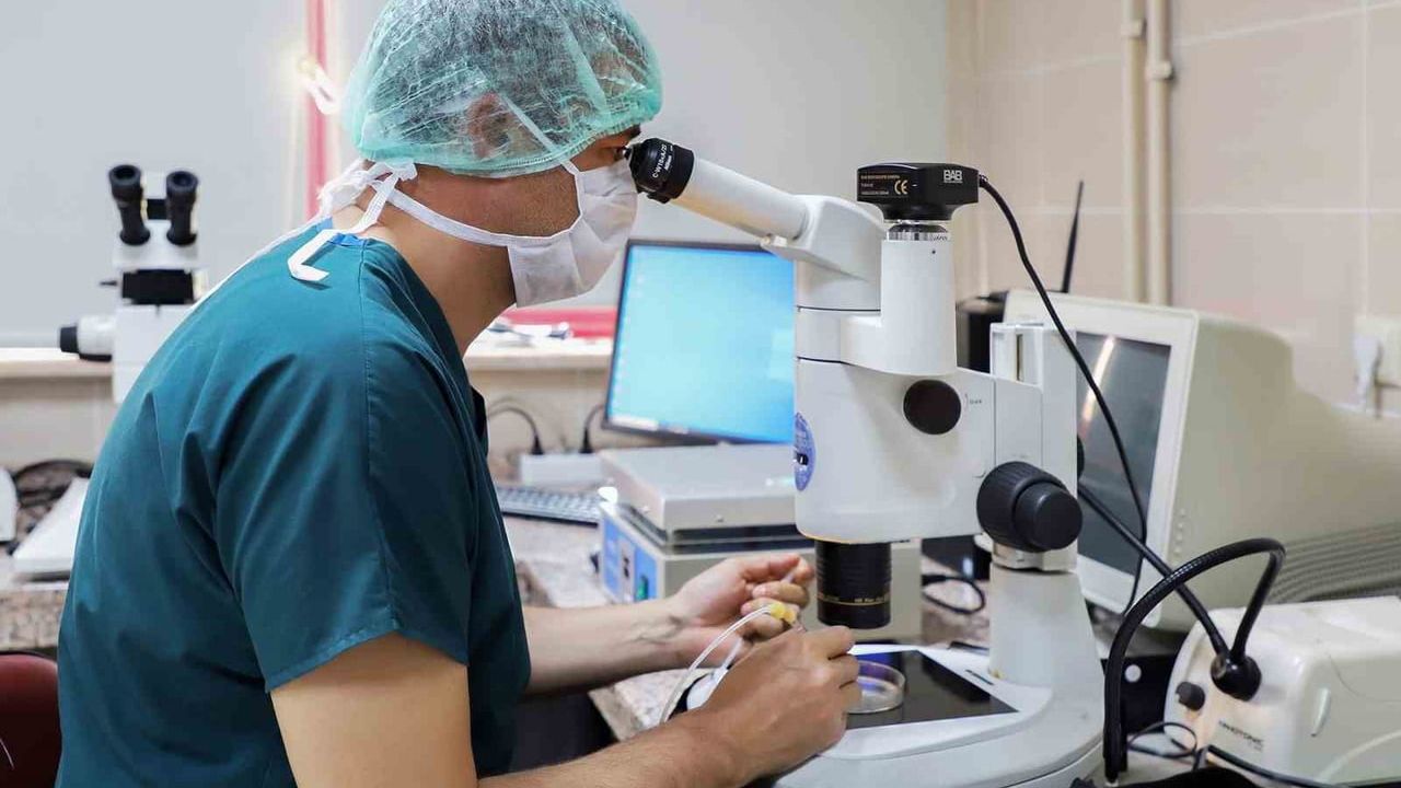 Atatürk Üniversitesi, THE 2026 Tıp ve Sağlık Sıralamasında Türkiye'de 3. ve Devlet Üniversiteleri Arasında 2. Sırada