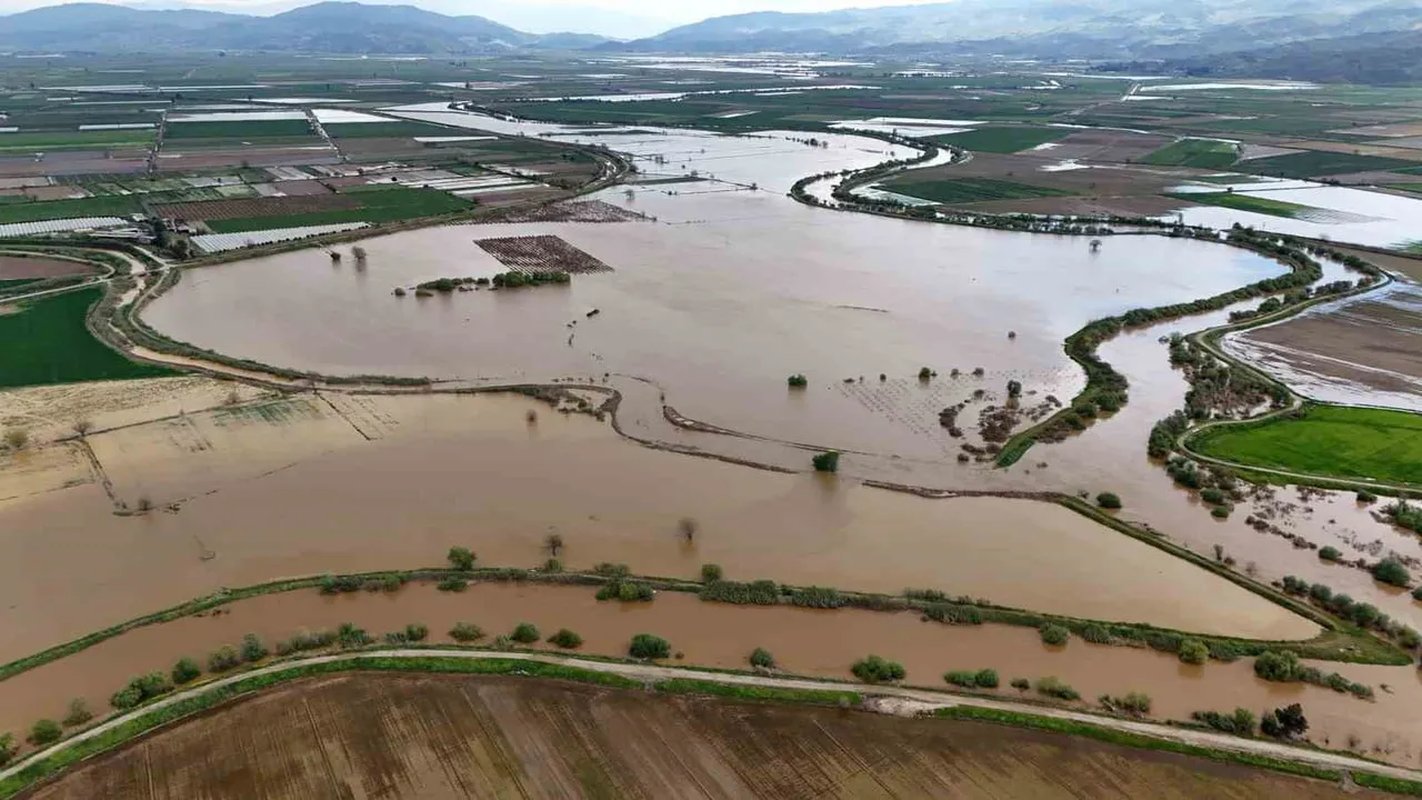 Aydın'da Büyük Menderes Nehri taşkını: Koçarlı Ovası'nda tarım arazileri su altında