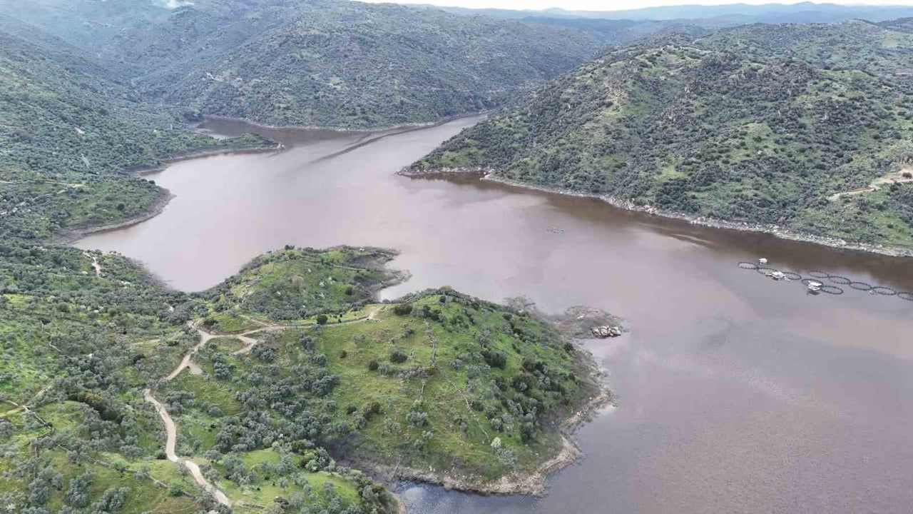 Aydın'da yağışlar Yaylakavak Barajı doluluk oranını yükseltti