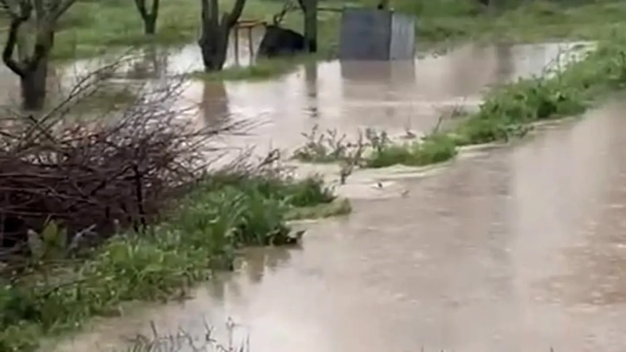 Balıkesir'de Susurluk Çayı yükseldi — Çaygören Barajı etkisi iddia ediliyor
