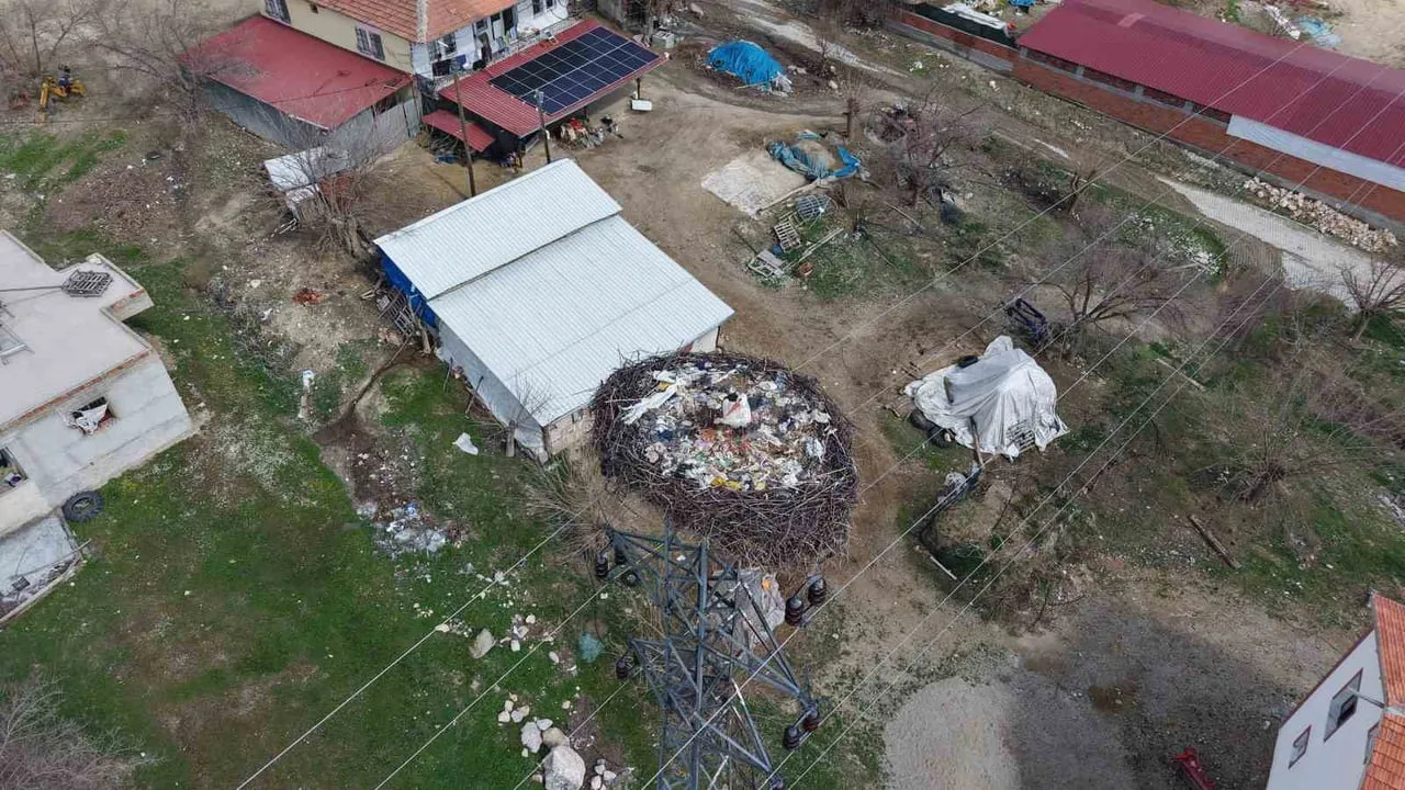Baskil'de 10 Yıldır Aynı Yuvaya Dönen Leylekler Gemici Köyünde Baharı Müjdeledi