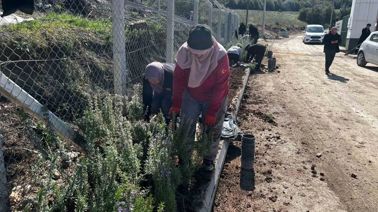 Bilecik'te bahar hazırlıkları başladı: Park ve bahçelerde yeşillendirme ve budama