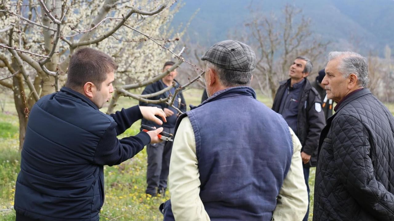 Bilecik’te üreticilere gübreleme ve budama eğitimi