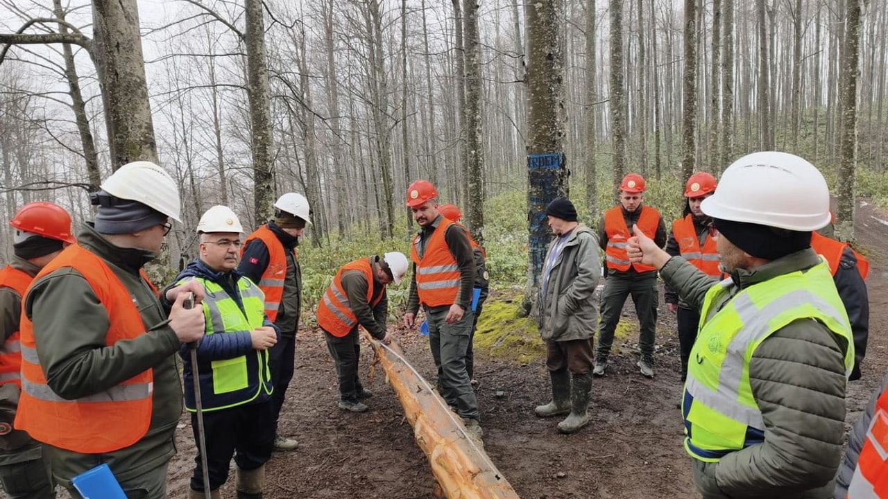 Bolu Orman Bölge Müdürlüğü'nde üretim ve standardizasyon tatbikatı yapıldı