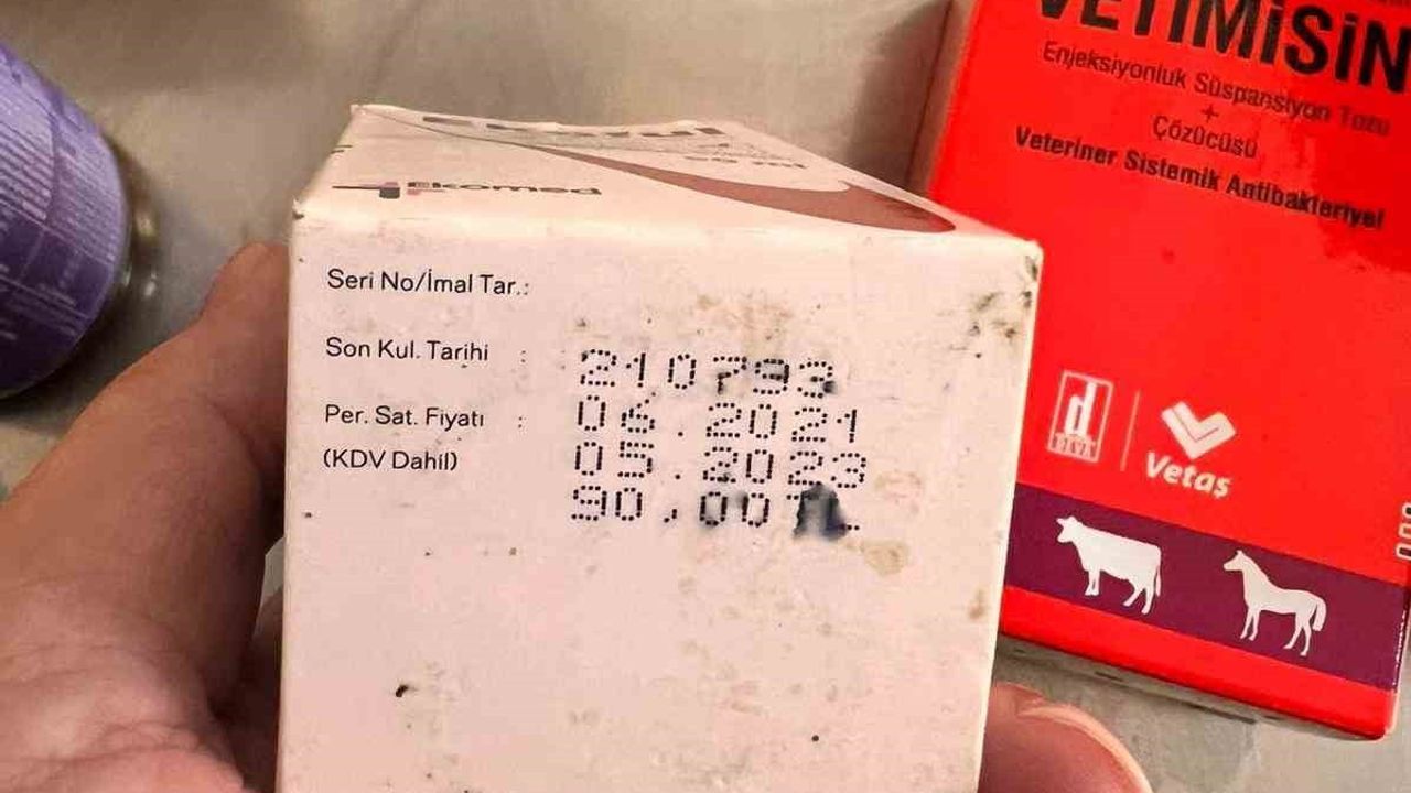 Bozüyük Doğal Yaşam Alanı'nda köpek ölümleri ve süresi geçmiş ilaçlar üzerine inceleme