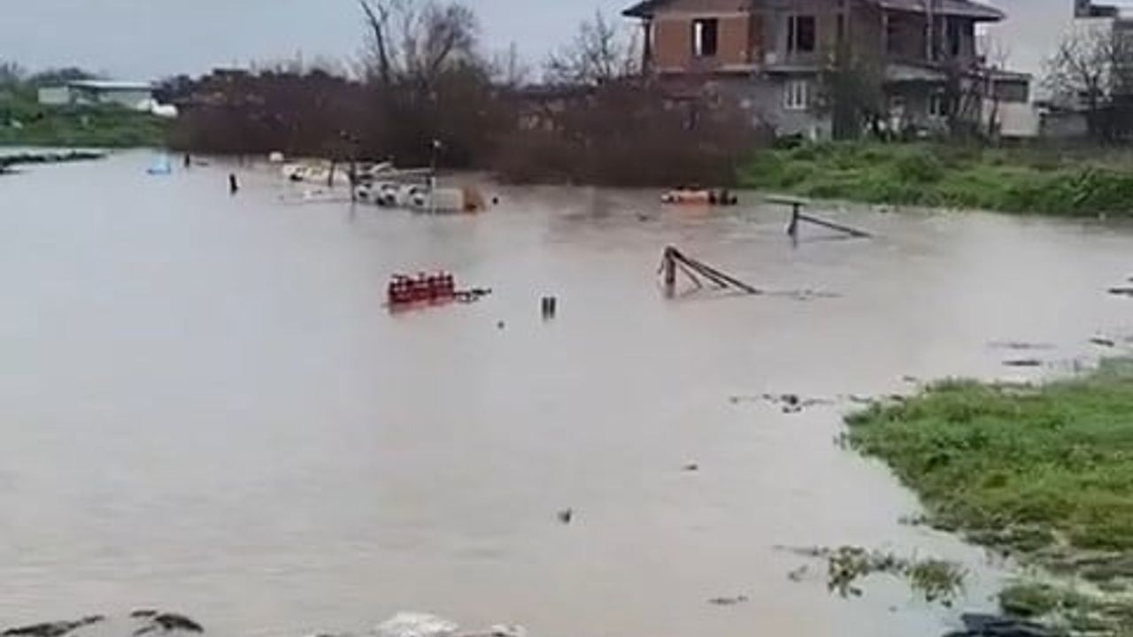 Bursa'da üç gün süren sağanak: Karacabey tarlaları su altında, büyükbaş hayvanlar kurtarıldı