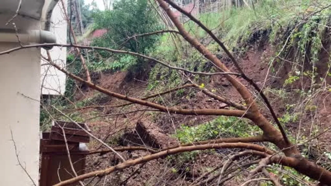 Bursa'da yoğun yağış sonrası istinat duvarı çöktü, ağaçlar binaya devrildi