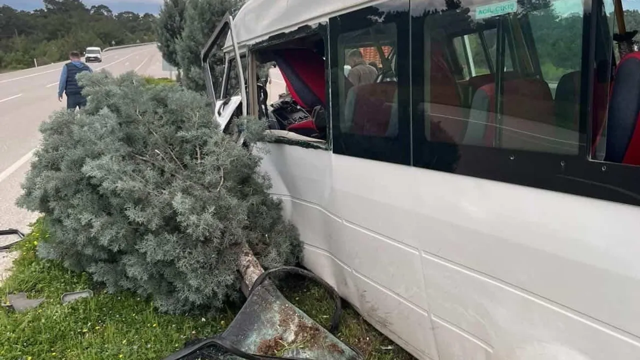 Çanakkale Ayvacık-Ezine yolunda minibüs refüje çıkarak ağaca çarptı: 2 yaralı