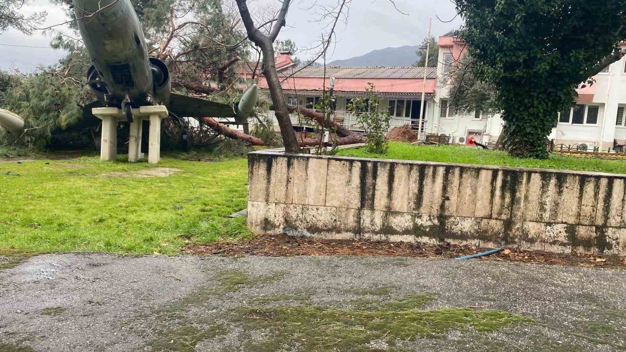 Denizli'de fırtına: Uçaklı Okul'un simge uçağına çam ağacı düştü