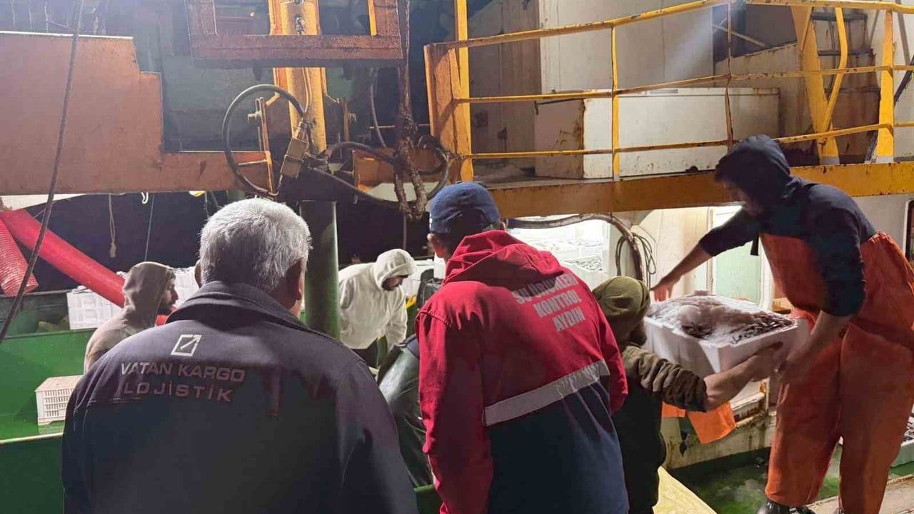 Didim'de balıkçı teknelerinde belge ve ürün denetimi yapıldı