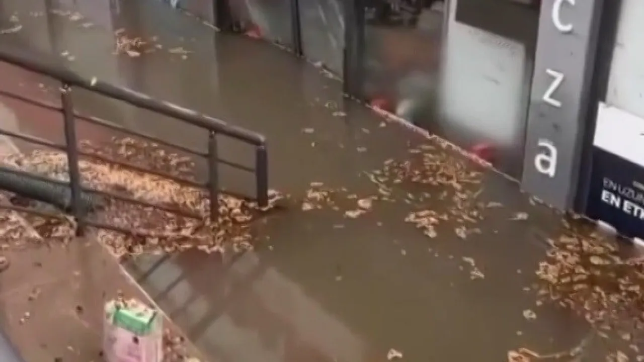 Didim'de sağanak yaşamı olumsuz etkiledi: Ev ve işyerleri su altında kaldı