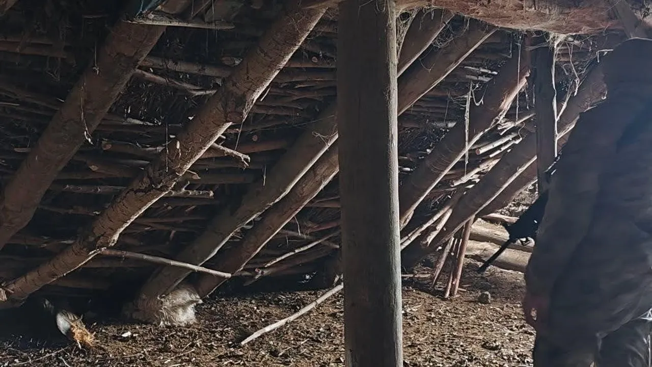 Durankaya'da çöken ahırda 5 koyun telef oldu