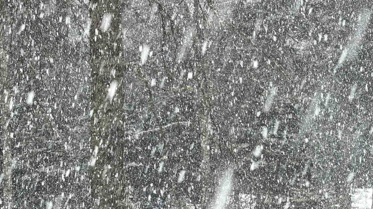 Düzce'nin yüksek kesimlerinde kar kalınlığı yer yer 1 metreye ulaştı