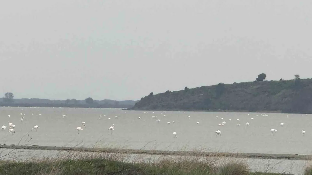 Eceabat Kaymakamı Kerem Yenigün Suvla Bölgesinde Doğa ve Biyolojik Çeşitliliği İnceledi