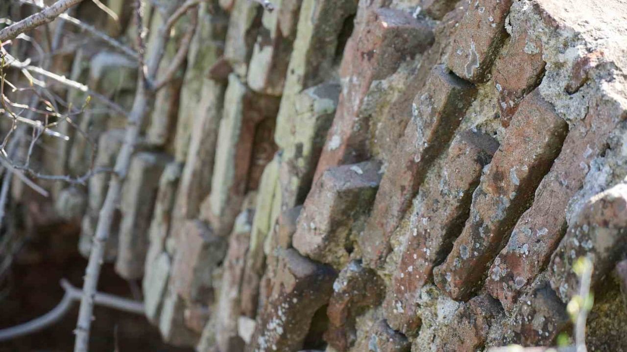 Edirne'deki Tarihi Tabyalar Bakımsızlıktan Yok Olma Tehlikesinde