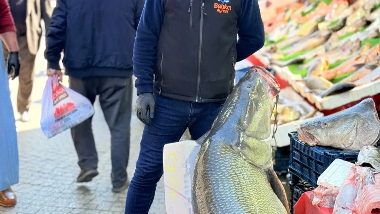 Elazığ'da 82 kiloluk turna balığı tezgâhta: Kurban pazarlığını andıran pazarlık