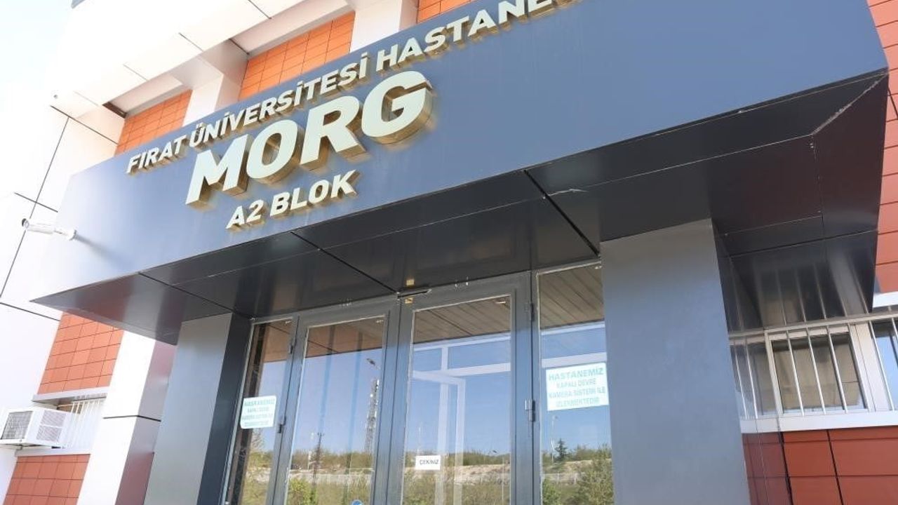 Elazığ'da arazi anlaşmazlığı: Yeğen tarafından darbedilen 73 yaşındaki amca hayatını kaybetti