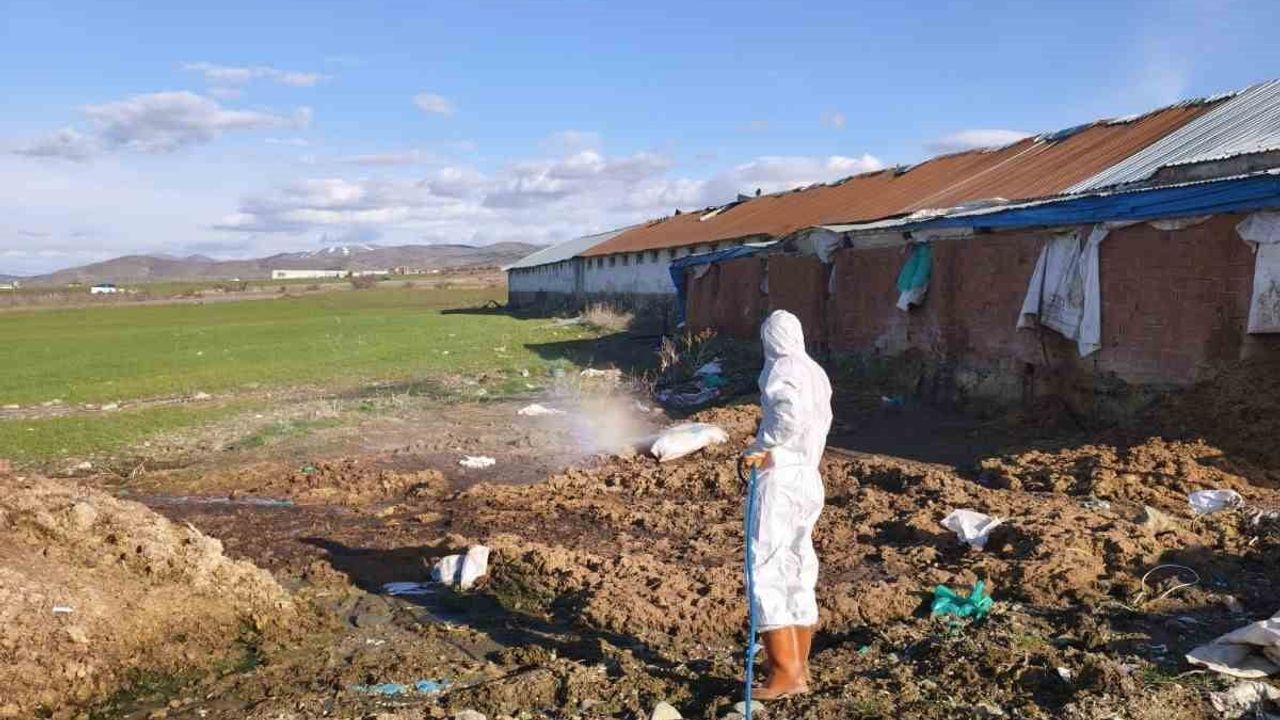 Elazığ İl Özel İdaresi Bahar Öncesi Larva İlaçlama Çalışmalarına Başladı