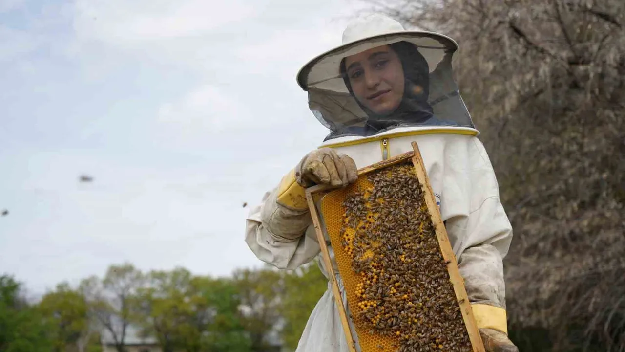 Erzincan'da arılar kış uykusundan uyanıyor, arıcılar yeni sezon hazırlığında