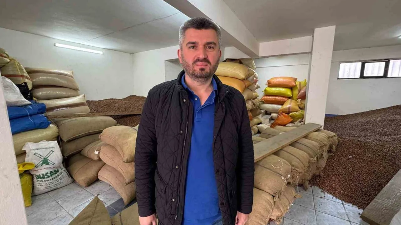 Giresun'da fındık fiyatları düşüyor: Yeni sezon rekoltesi belirleyici olacak
