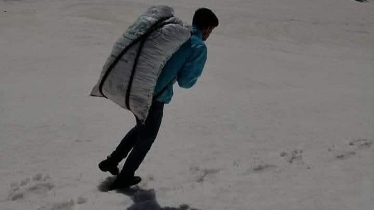 Göksun Değirmendere’de yetişen çiriş otu: Kayalıkların lezzeti ve ekonomik değeri