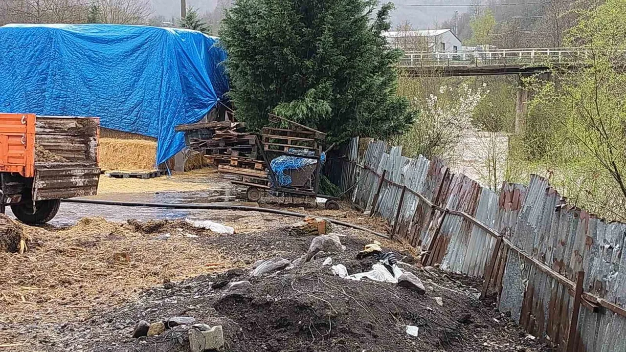 Gölcük'te Asar Deresi'ne atık bırakan iki besi çiftliğine adli ve idari işlem