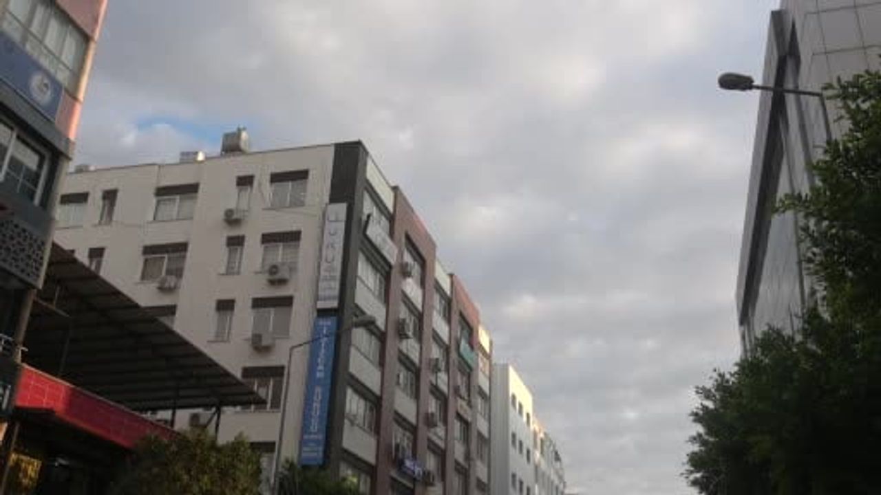 Hatay'da göç yolunda bitkin düşen 2 Ebabil kuşu polis tarafından koruma altına alındı