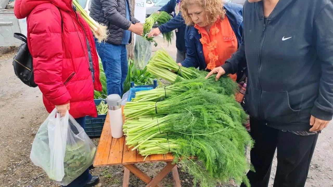Hatay Erzin'de 1. Ot Festivali sağanak yağmur nedeniyle yarıda kaldı