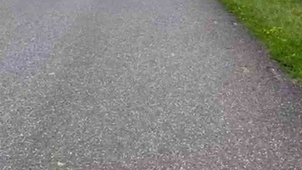 Hendek'te sokak köpekleri korkusuyla kurusıkı taşıyan kadın iki işten çıkarıldığını iddia etti